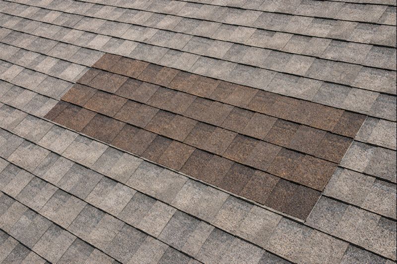 ChatGPT Image Dec 19, 2025 at 03_29_02 PM